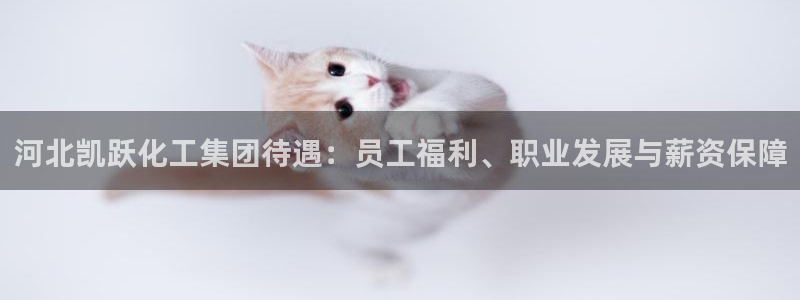 球盟会登陆中心