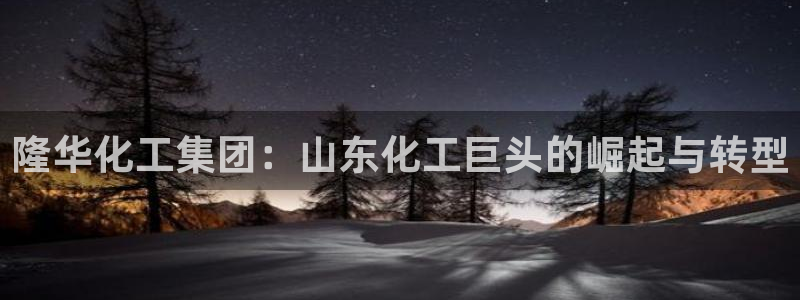 球盟会登录平台入口