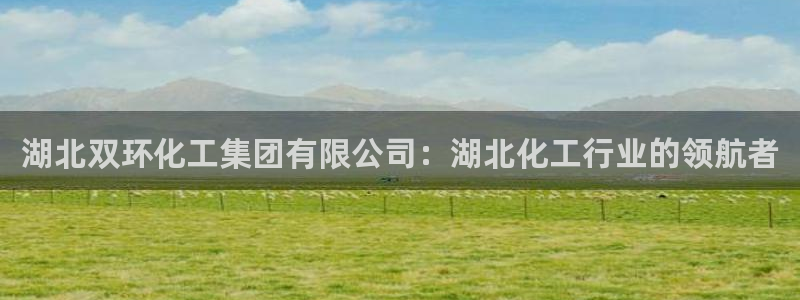 球盟会黑款吗还是白款