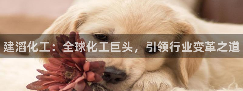 球盟会官网登录入口