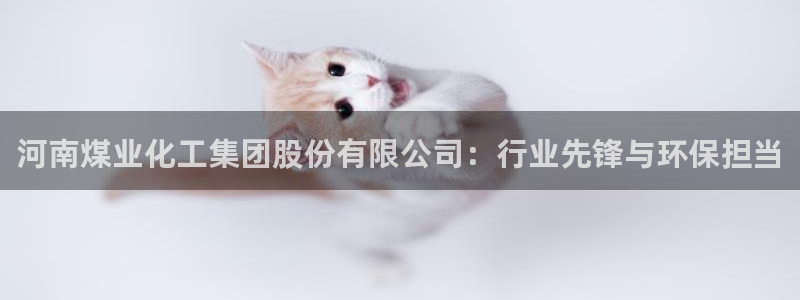 球盟会官方app首页入口：河南煤业化工集