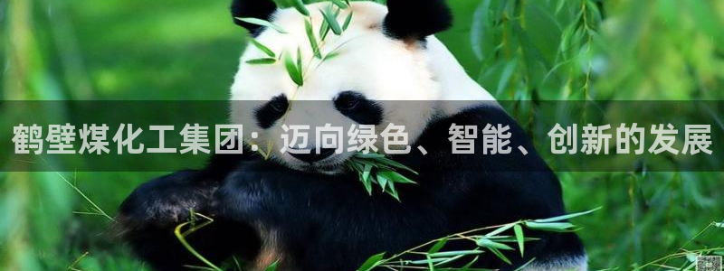 球盟会网址多少：鹤壁煤化工集团：迈向绿色