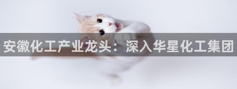 球盟会最新活动：安徽化工产业龙头：深入华