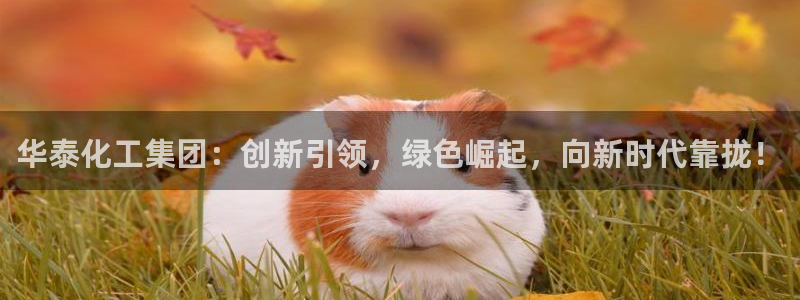球盟会黑钱：华泰化工集团：创新引领，绿色
