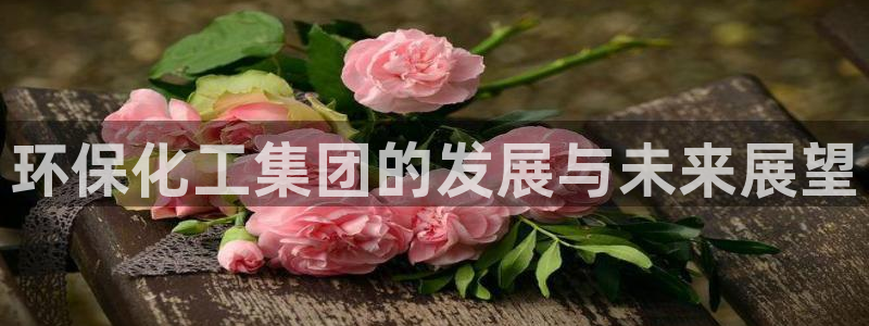 球盟会官方网站：环保化工集团的发展与未来