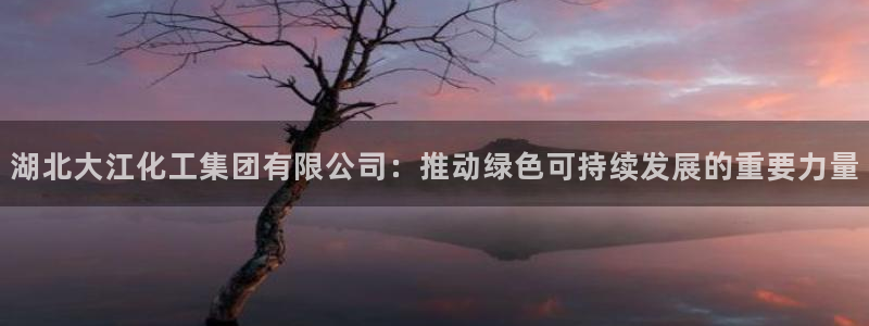 球盟会黑款吗还是白款：湖北大江化工集团有