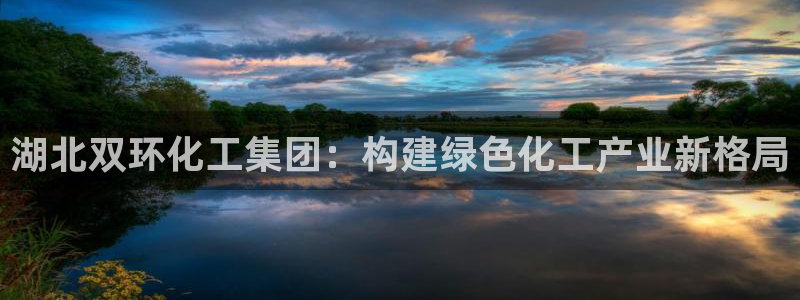 球盟会在线官网：湖北双环化工集团：构建绿
