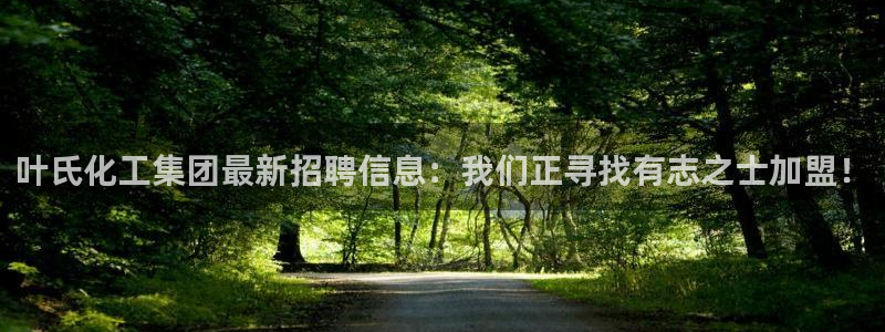 球盟会在线网站：叶氏化工集团最新招聘信息