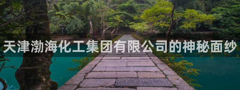 球盟会APP最新地址