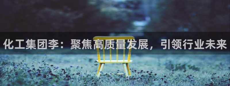 球盟会有限公司怎么样：化工集团李：聚焦高