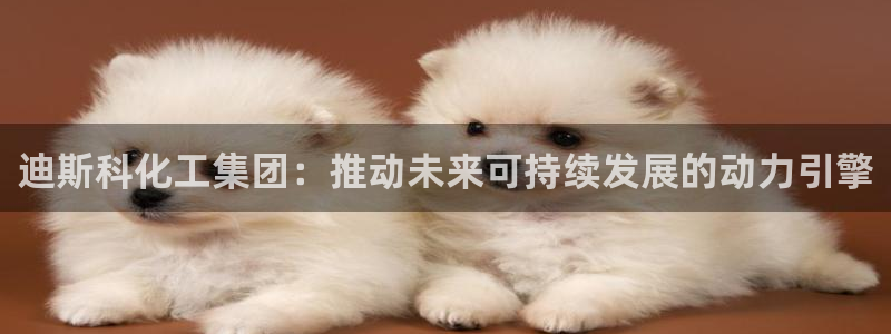 球盟会电子好下吗：迪斯科化工集团：推动未