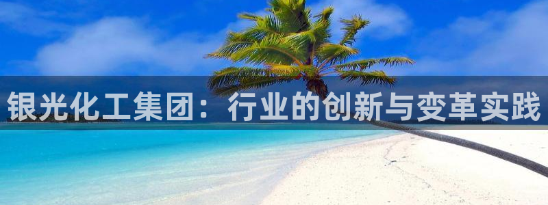 球盟会在线官网：银光化工集团：行业的创新
