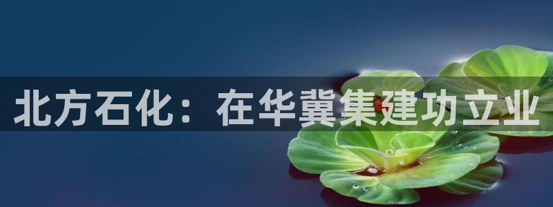 球盟会app最新地址在哪找：北方石化：在
