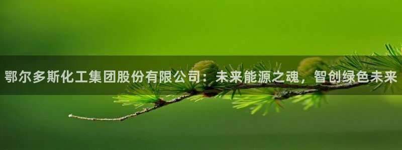 球盟会唯一：鄂尔多斯化工集团股份有限公司