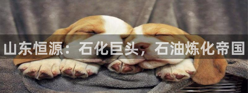 球盟会进不去吗：山东恒源：石化巨头，石油
