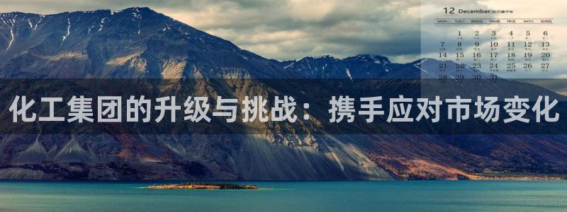 球盟会官方最新入口：化工集团的升级与挑战