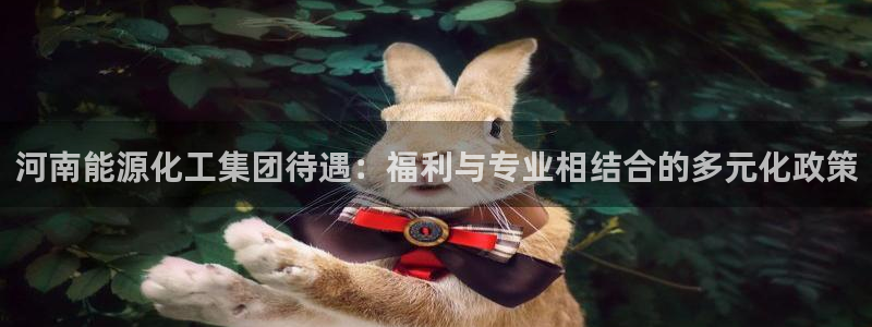 球盟会官方平台入口：河南能源化工集团待遇