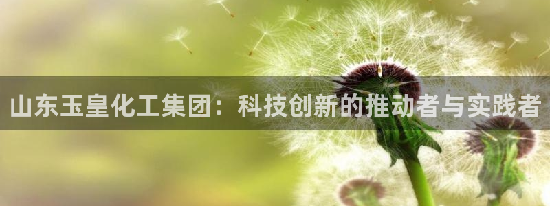 球盟会qmh：山东玉皇化工集团：科技创新