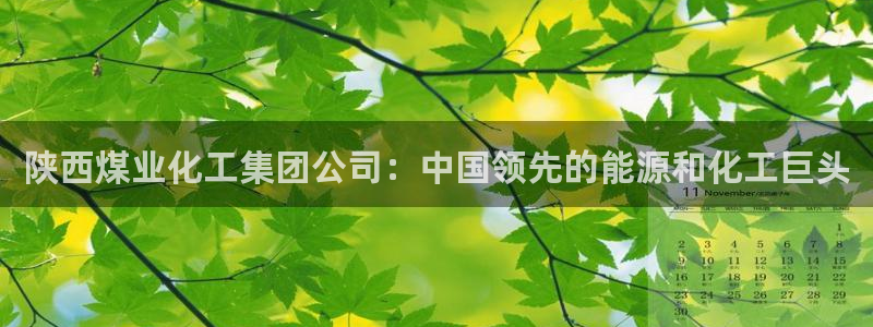 球盟会官网app下载：陕西煤业化工集团公