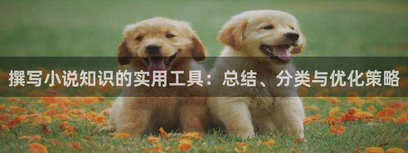 牛眼看书app：撰写小说知识的实用工具：总结、分类与优化策略