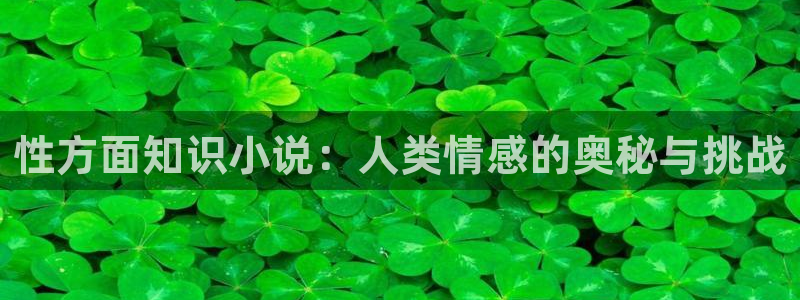 牛眼看书免费排行榜：性方面知识小说：人类情感的奥秘与挑战