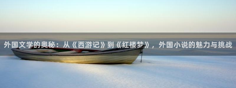 牛眼看书网：外国文学的奥秘：从《西游记》到《红楼梦》，外国小说的魅力与挑战